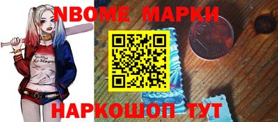 гидра Новозыбков
