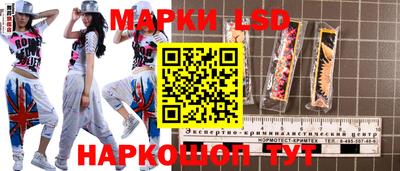 гидра Новозыбков