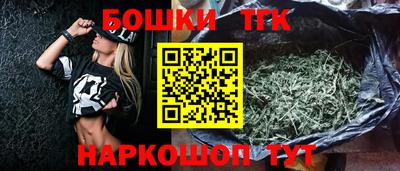 гидра Новозыбков