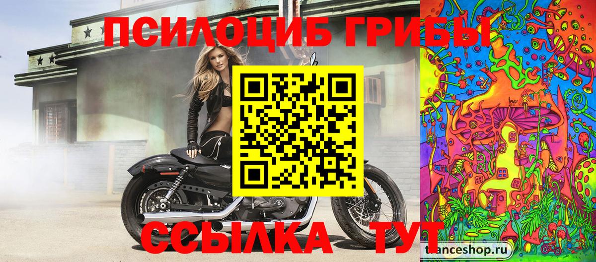 Галлюциногенные грибы Psilocybine cubensis  Вход с VPN  Чайковский 